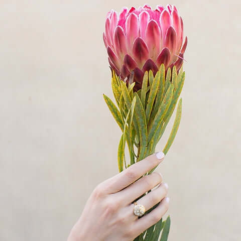 SINGLE STONE COBBLESTONE CRUX RING featuring 2.42ctw varying old cut and round brilliant cut diamonds set in a handcrafted, oxidized 18K yellow gold mounting. Price may vary according to total diamond weight. *Cobblestone pattern may vary from piece to pi
